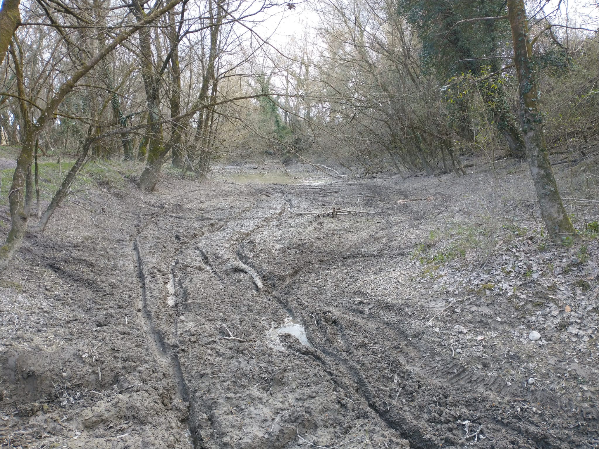 Immagine per Isonzo e Calvario come piste da cross, l'ecosistema di Gorizia sempre più minacciato 